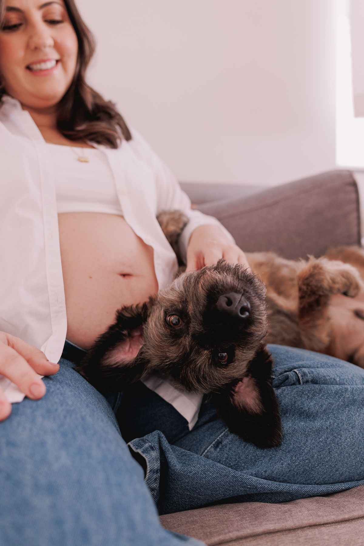 ensaio gestante em casa com pet calça jeans e camisa branca