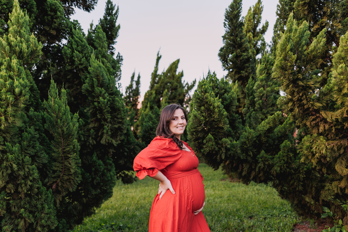 ensaio gestante externo no por do sol 