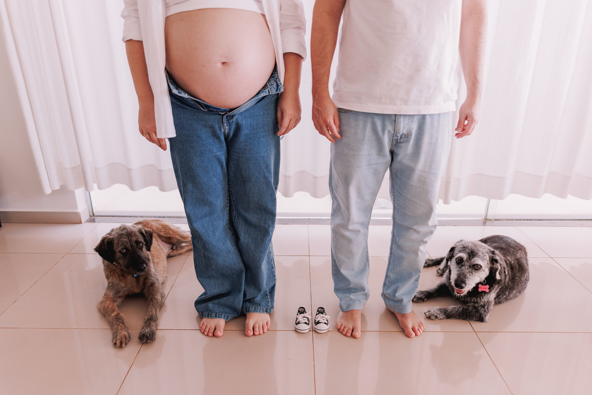 ensaio gestante em casa com pet calça jeans e camisa branca