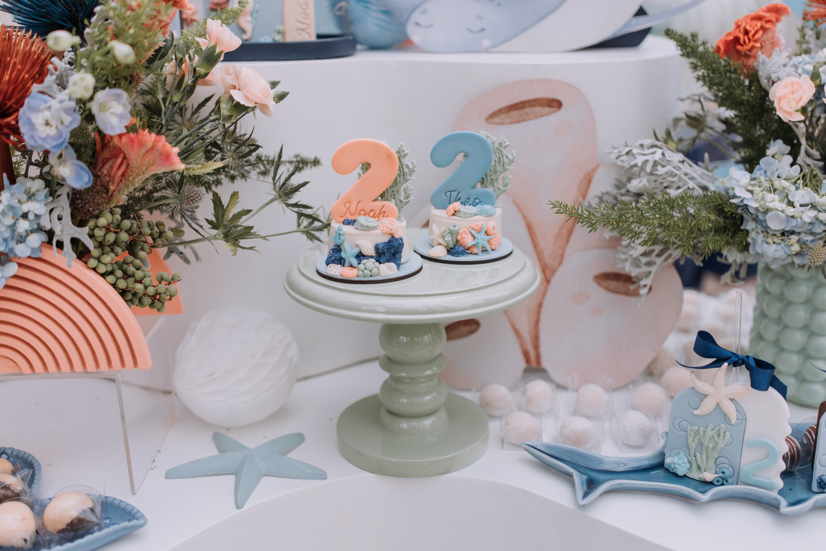 festa de gêmeos decoração fundo do mar área de laser ribeirao preto 