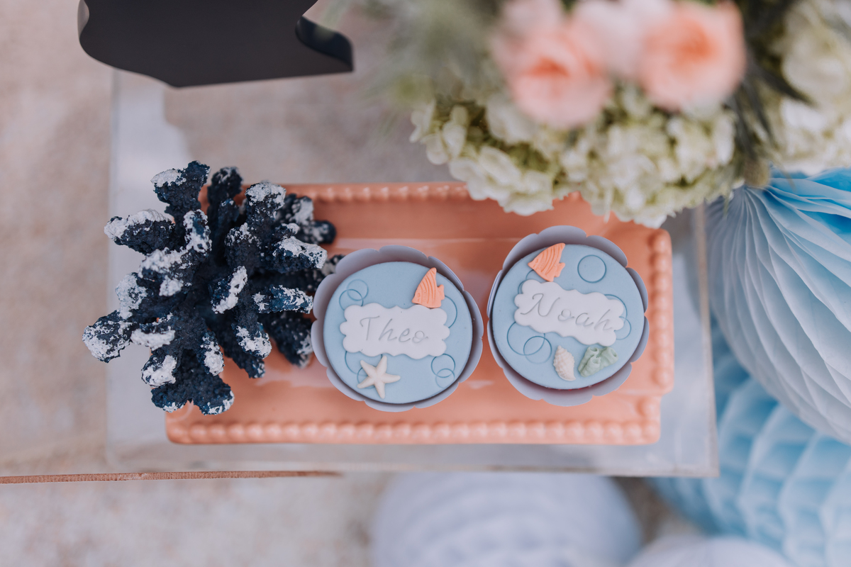 festa de gêmeos decoração fundo do mar área de laser ribeirao preto 