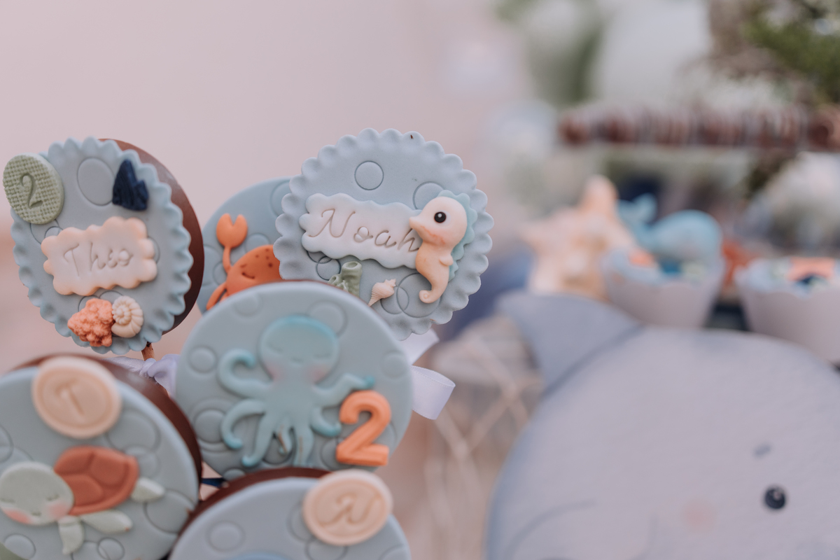 festa de gêmeos decoração fundo do mar área de laser ribeirao preto 