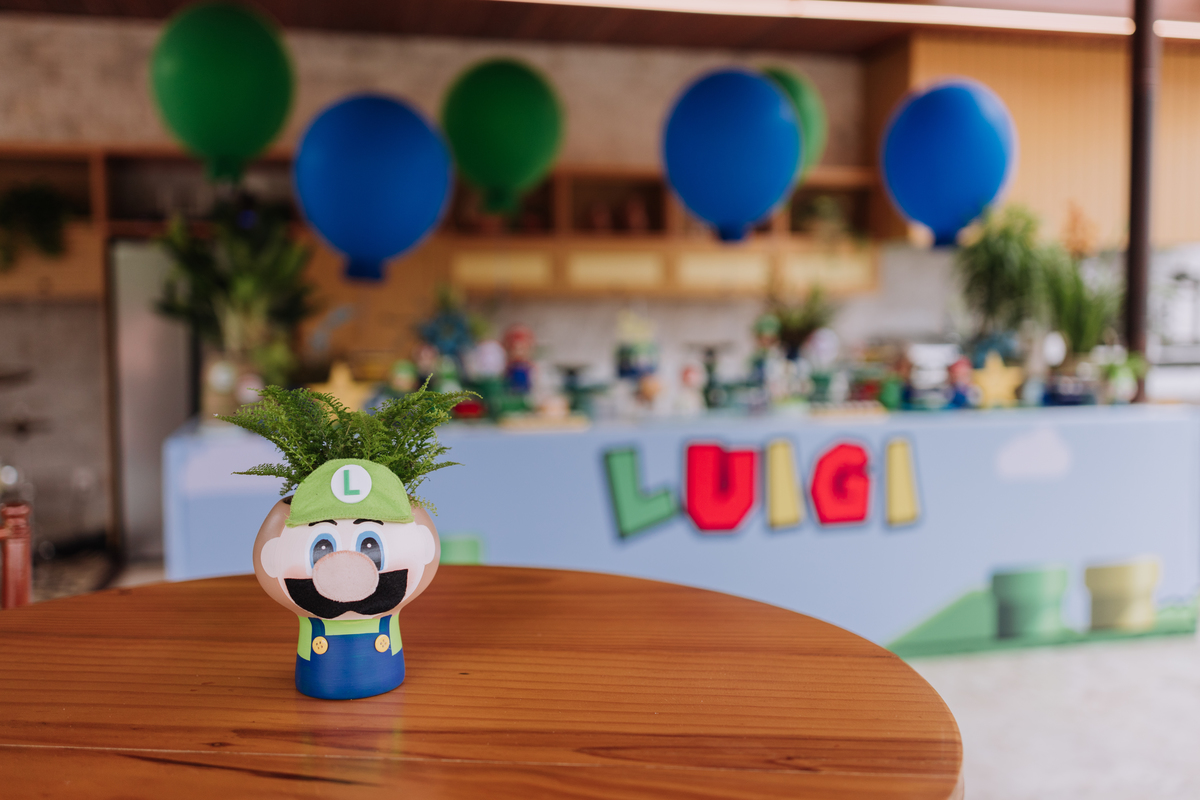 decoração festa mario e luigi