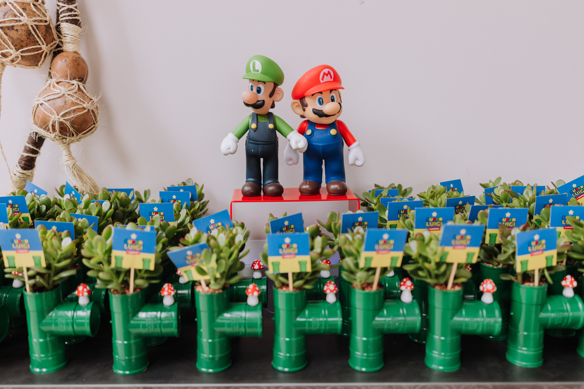 decoração festa mario e luigi