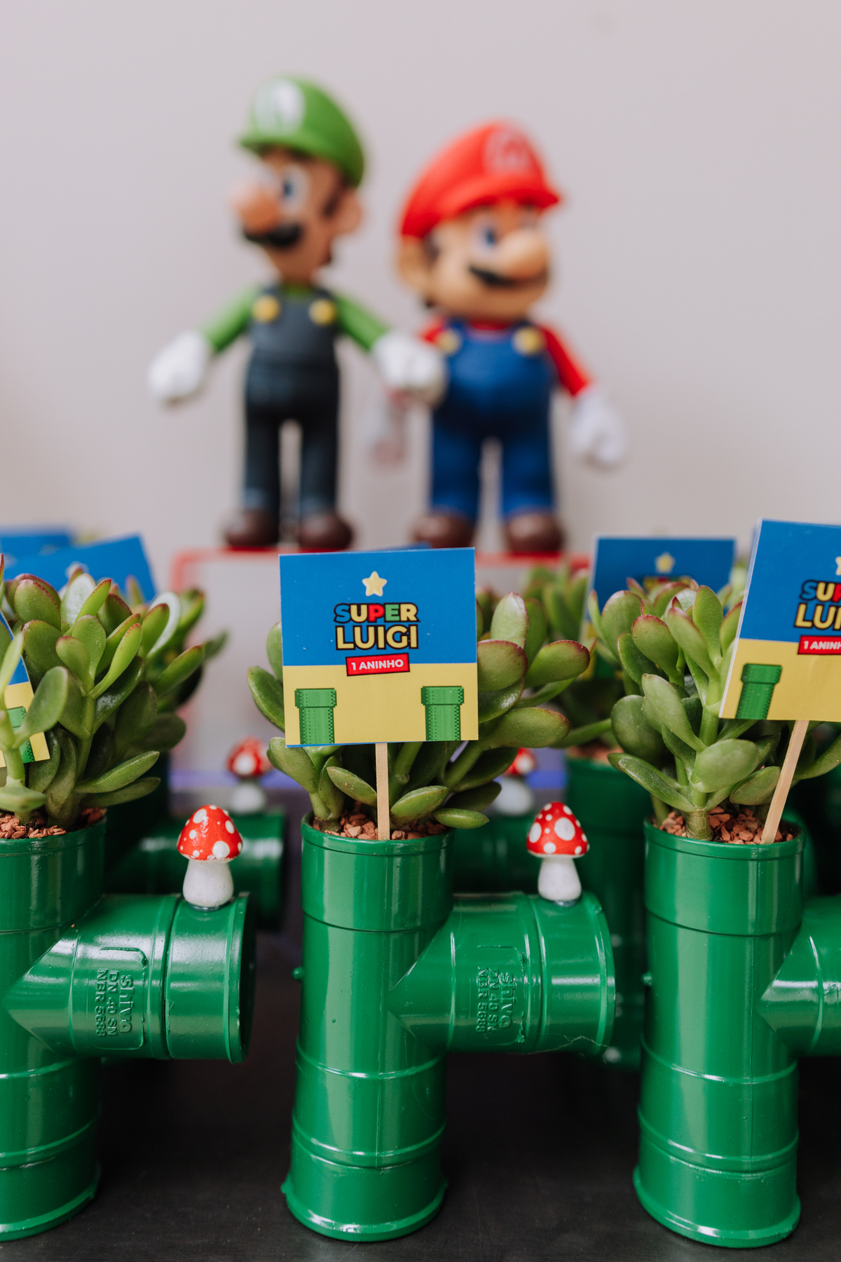 decoração festa mario e luigi
