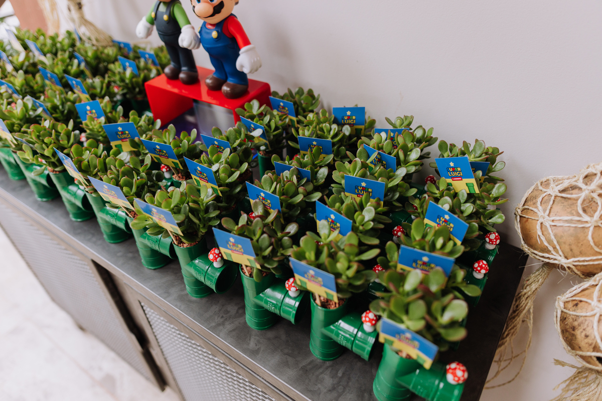 decoração festa mario e luigi