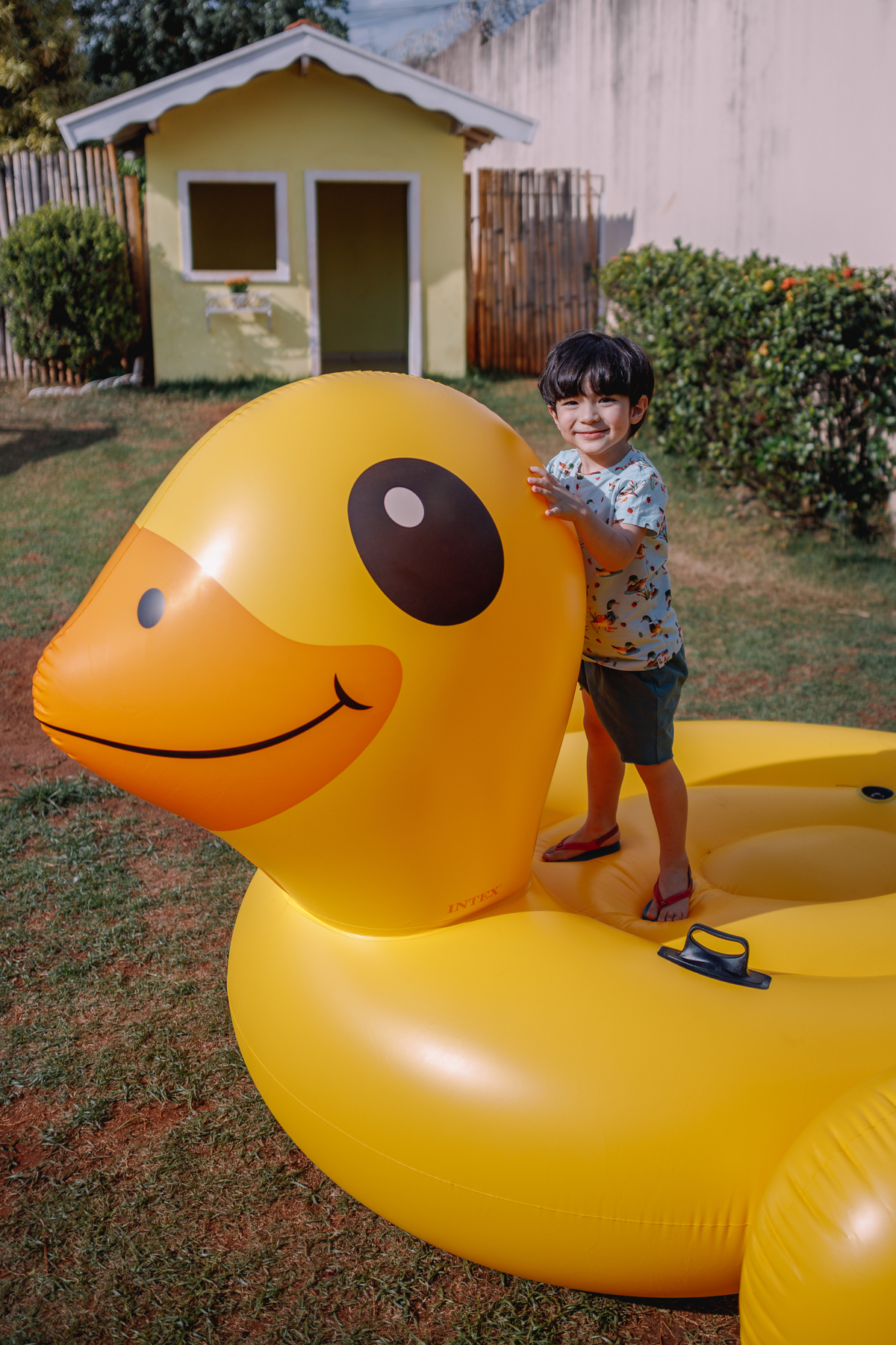 decoração de aniversário com o tema pato