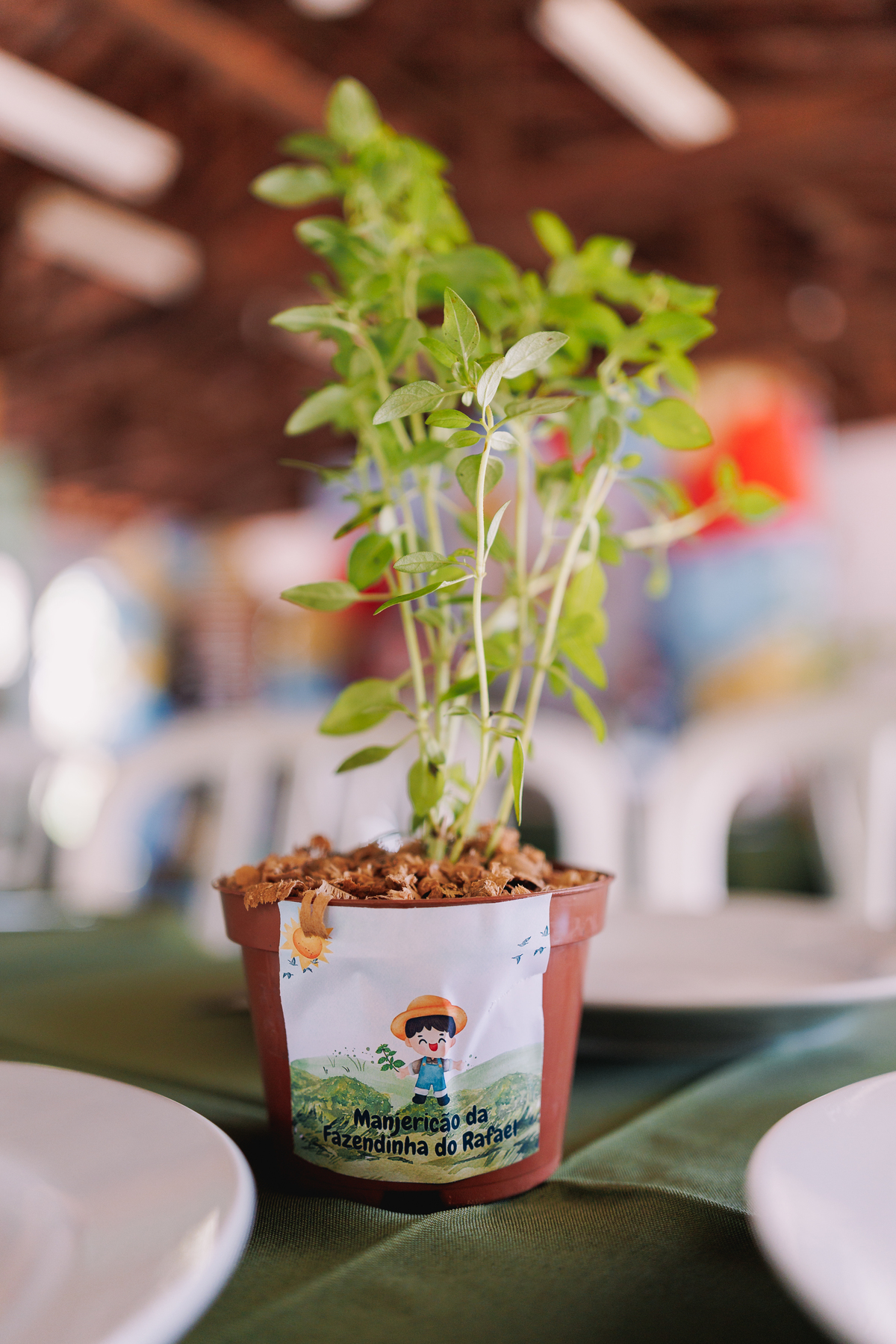 festa de 1 ano de menino tema fazendinha do bita criança de botina 