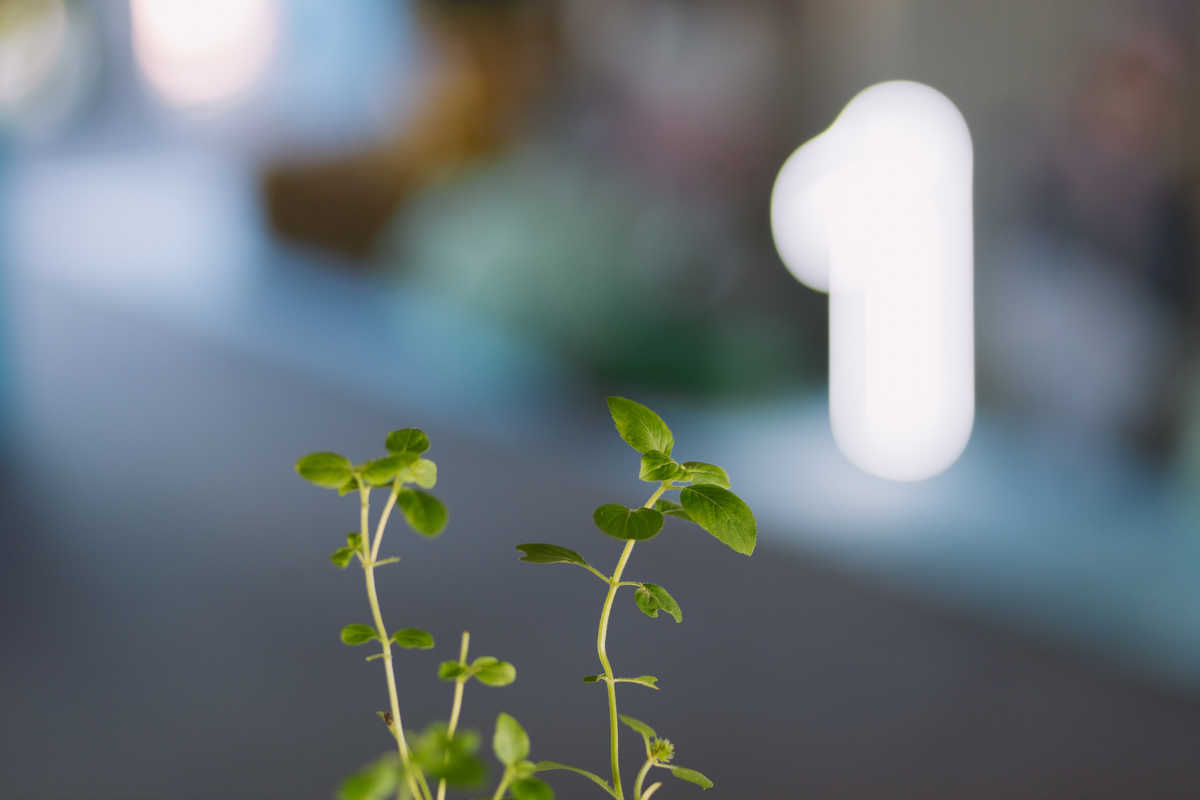 festa de 1 ano de menino tema fazendinha do bita criança de botina 