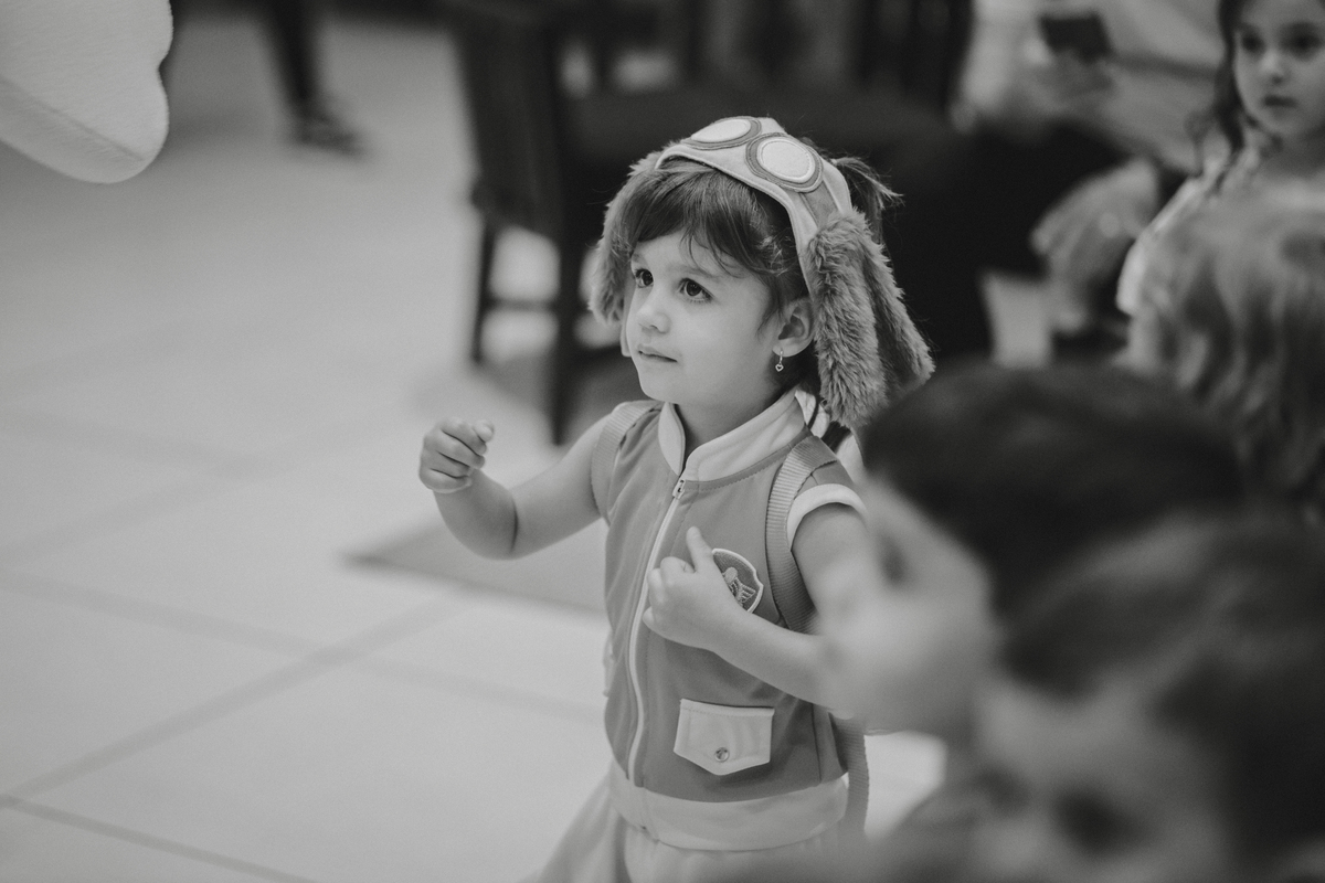 festa infantil buffet casa amarela boulevard ribeirao preto toma patrulha canina menina