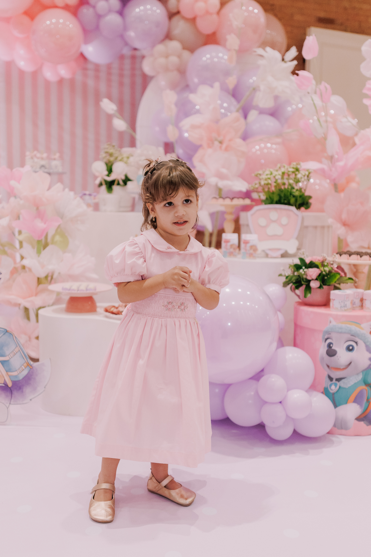 festa infantil buffet casa amarela boulevard ribeirao preto toma patrulha canina menina