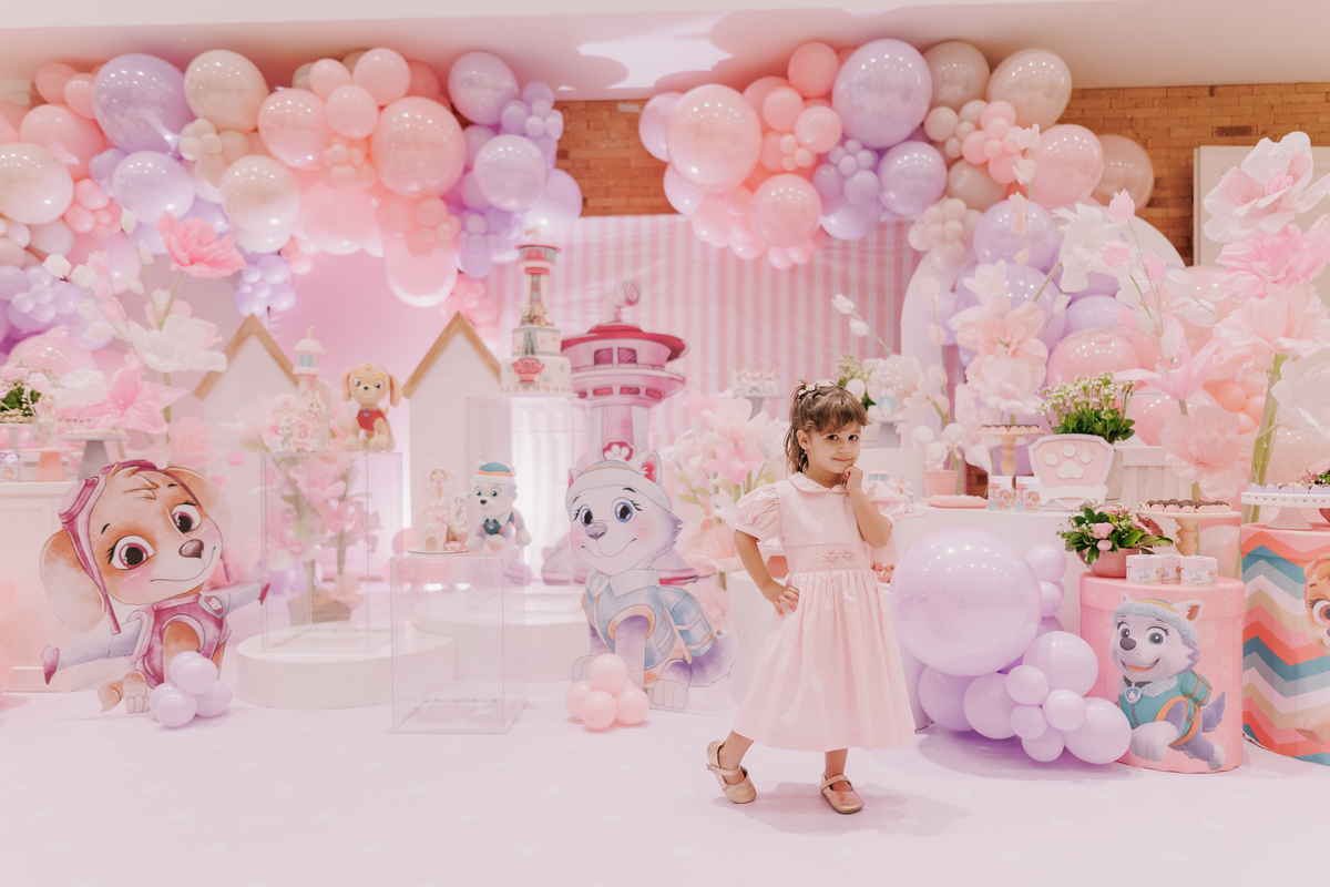festa infantil buffet casa amarela boulevard ribeirao preto toma patrulha canina menina