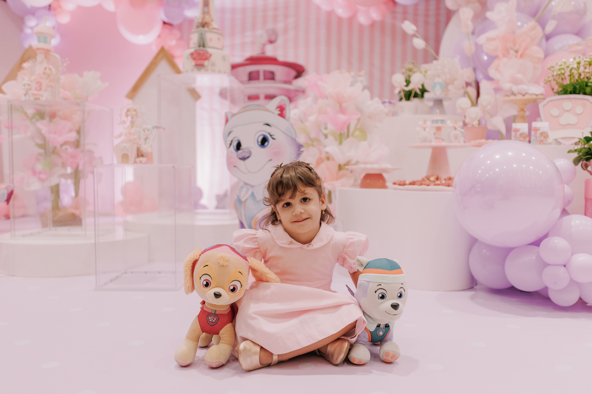 festa infantil buffet casa amarela boulevard ribeirao preto toma patrulha canina menina