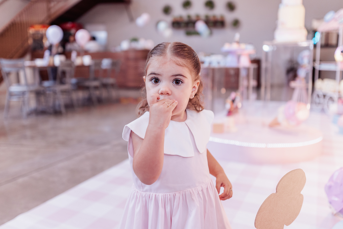 festa infantil menina decoração confeitaria da minnie buffet sapo cururu ribeirão preto