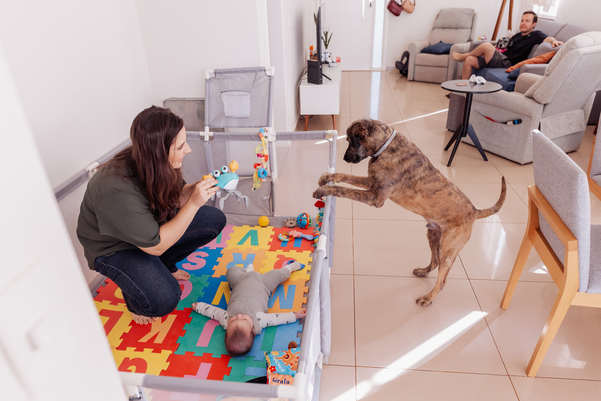 ensaio de bebê em casa no estilo lifestyle acompanhamento no quartinho com pet 