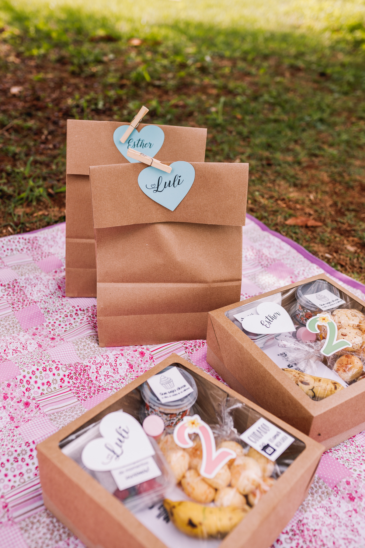 festa no parque em ribeirão preto festa de menina 2 anos tassia garcia fotografia