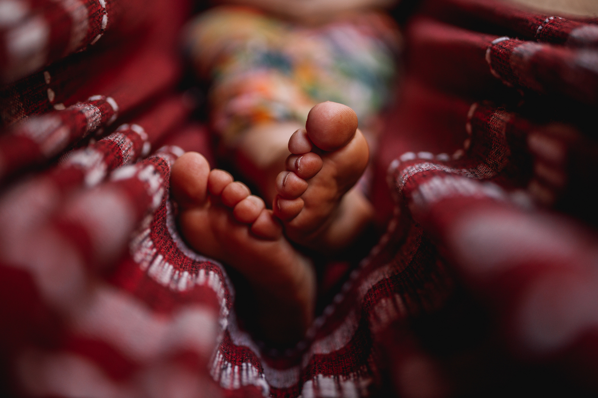 ensaio gestante em casa de bebê arco iris com cachorros no quintal ribeirão preto tassia garcia fotografia