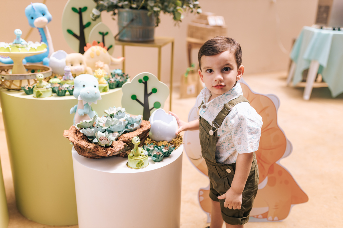 decoração festa infantil tema dinossauros ribeirão preto tassia garcia fotografia 