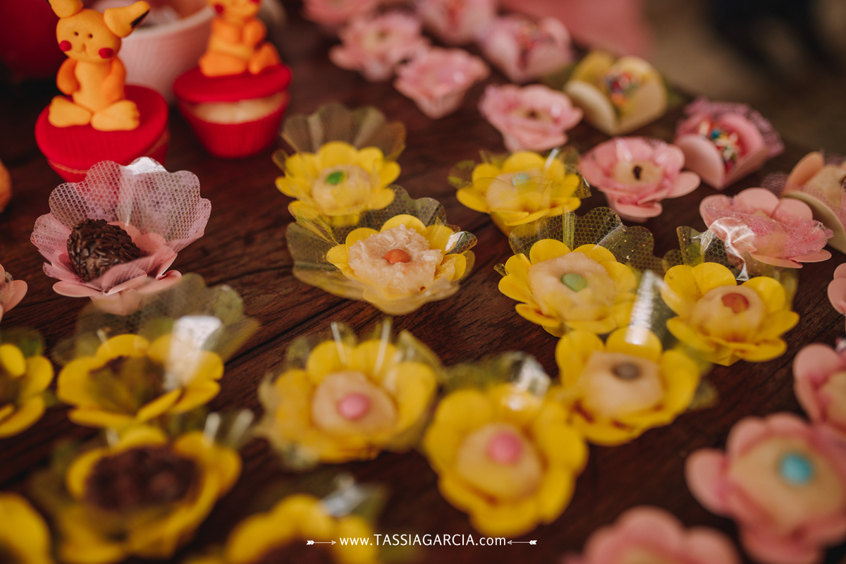 decoração de festa em casa tema pikachu ribeirão preto tassia garcia fotografia 