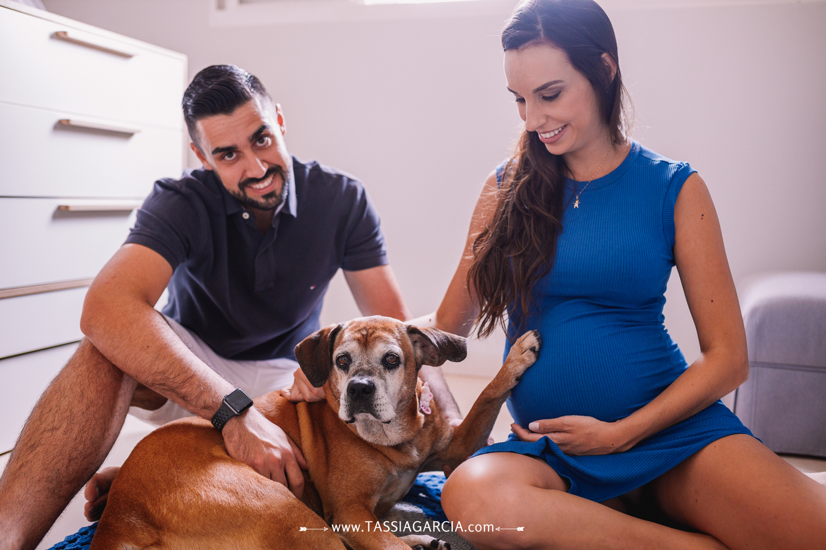 ensaio gestante em casa roupa leve foto com cachorro tassia garcia fotografia