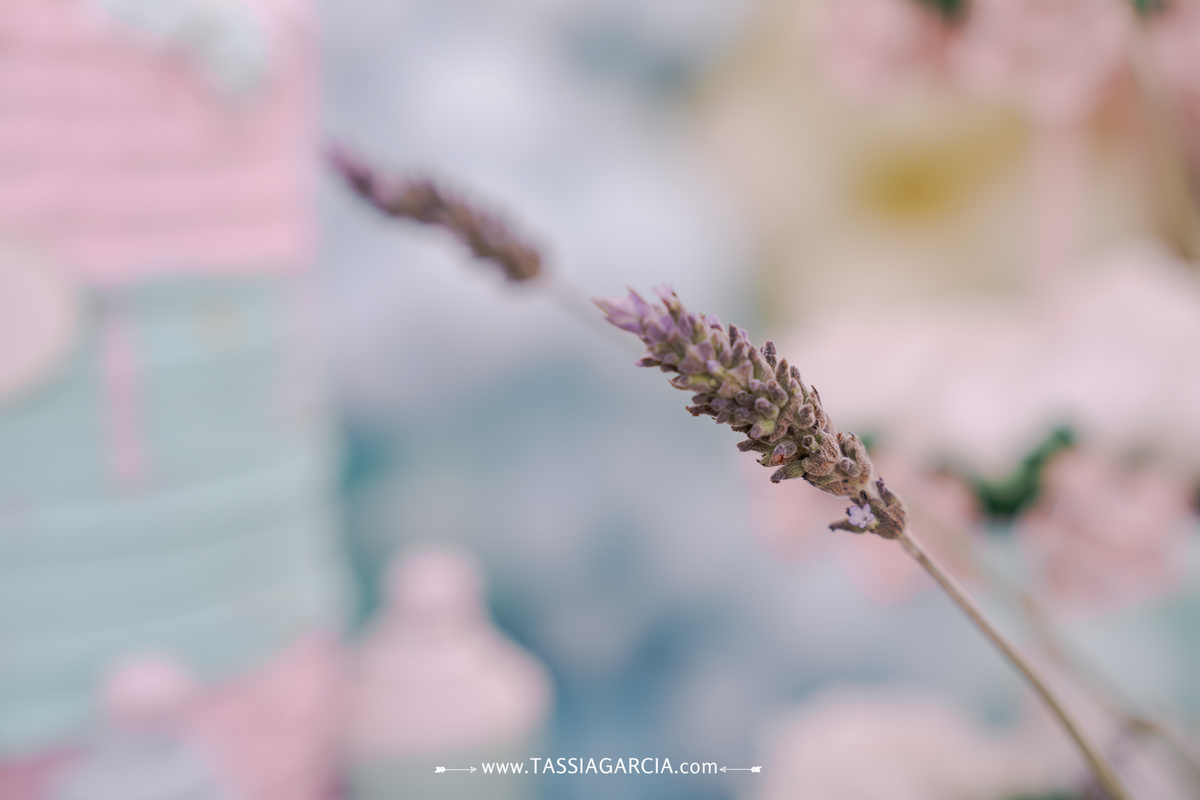 festa em casa dois anos acessoria sandra oliverio ribeirao preto tassia garcia fotografia decoração doceria da peppa por ouse criações e center festas