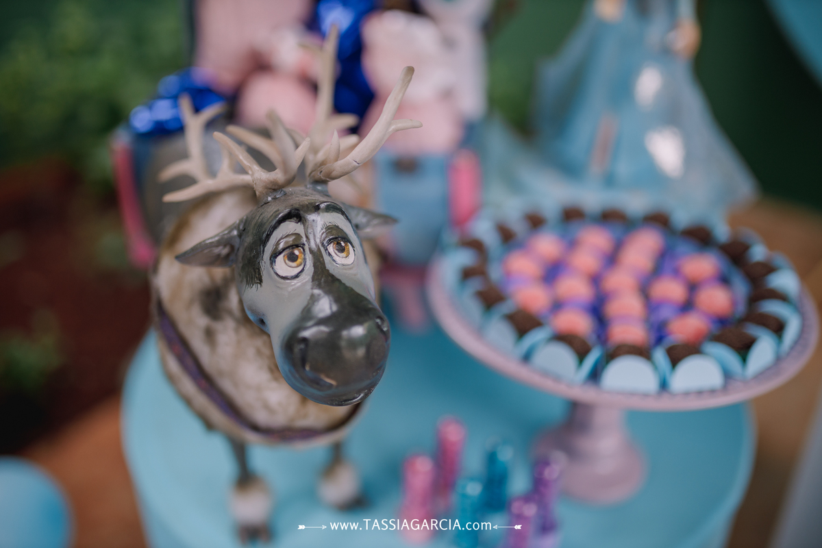 aniversário de 7 anos tema frozen festa em casa ribeirão preto tassia garcia fotografia