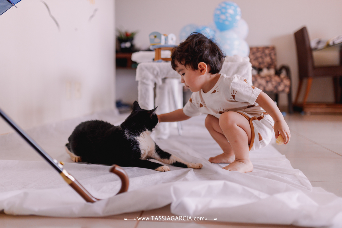 festa de 2 anos em casa com o tema céu, decoração feita pela mãe carinho no gato