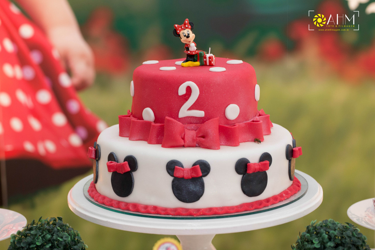 Fotografia Aniversário Infantil