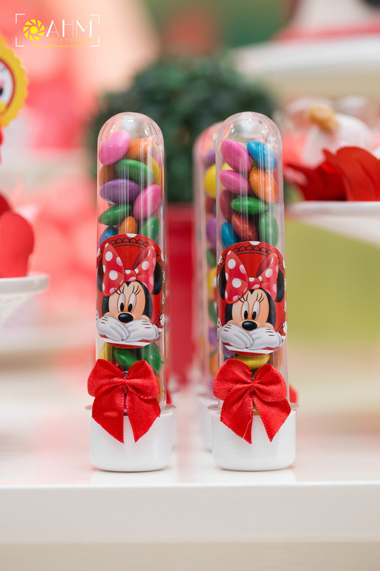 Fotografia Aniversário Infantil