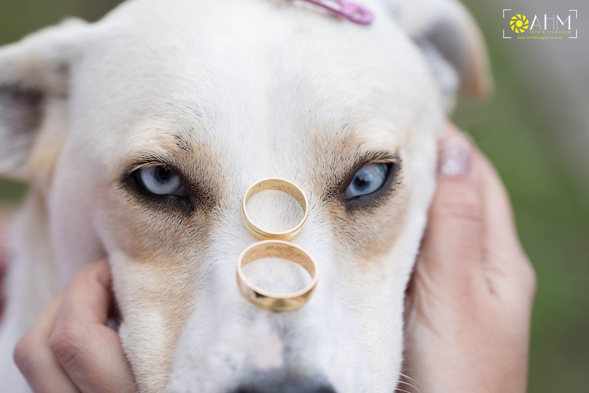 Ensaio Pré Wedding - Casamento Suelynn e Alberis