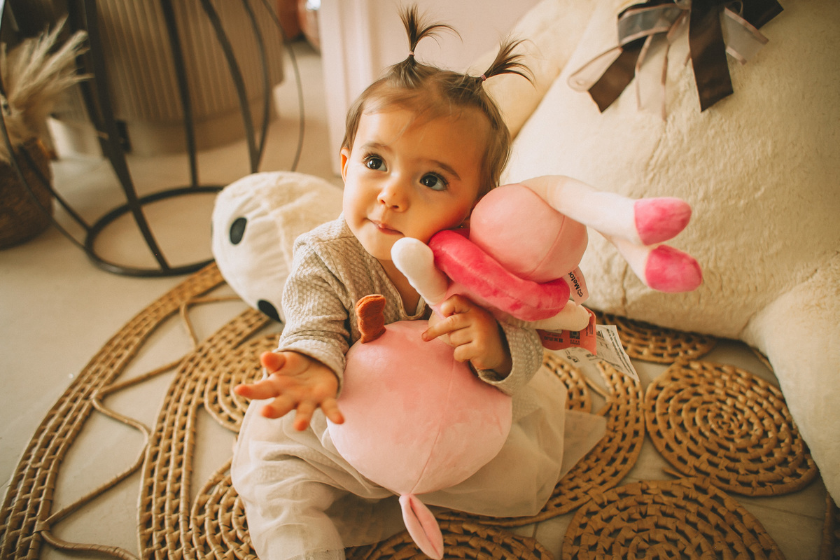 fotógrafa de festa infantil