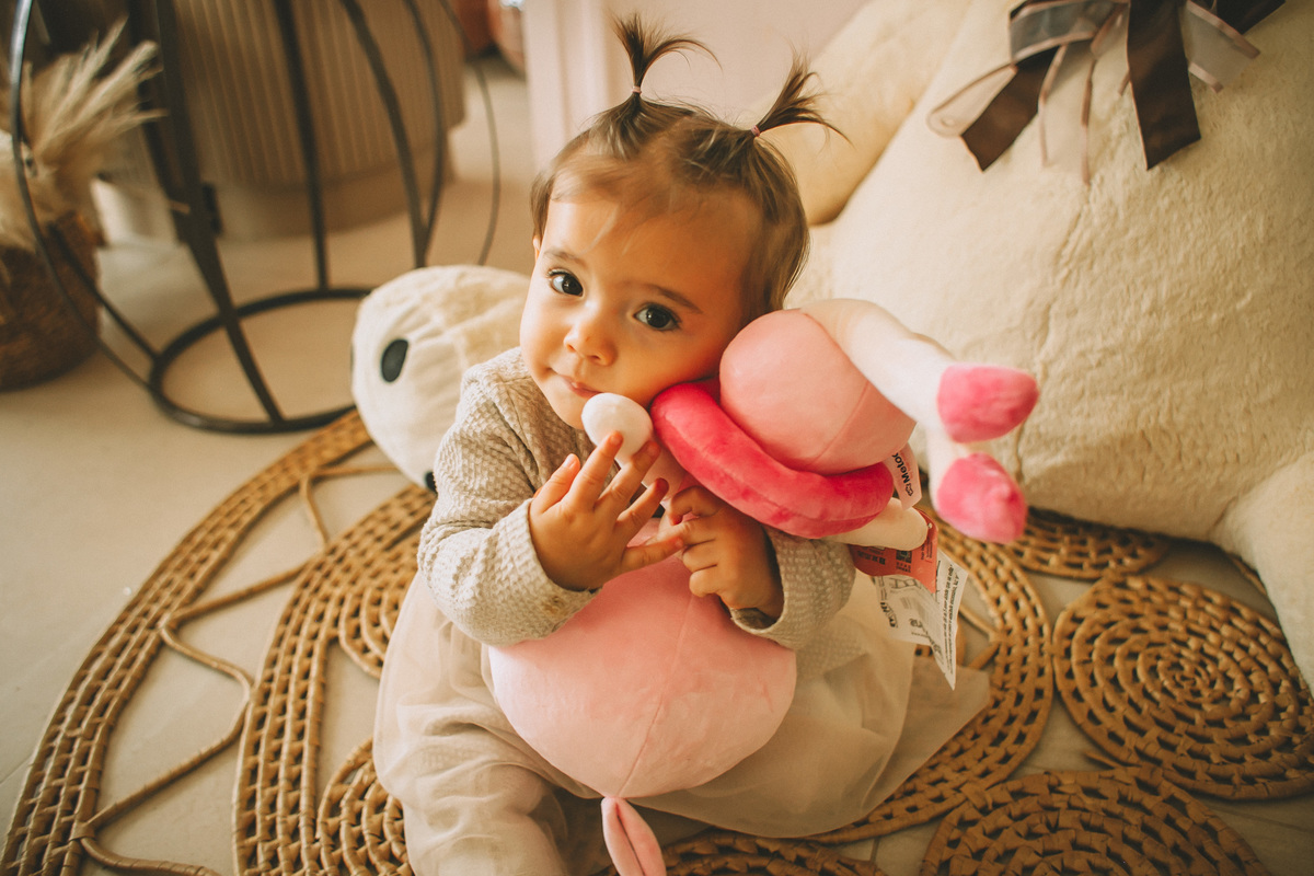 fotógrafa de festa infantil