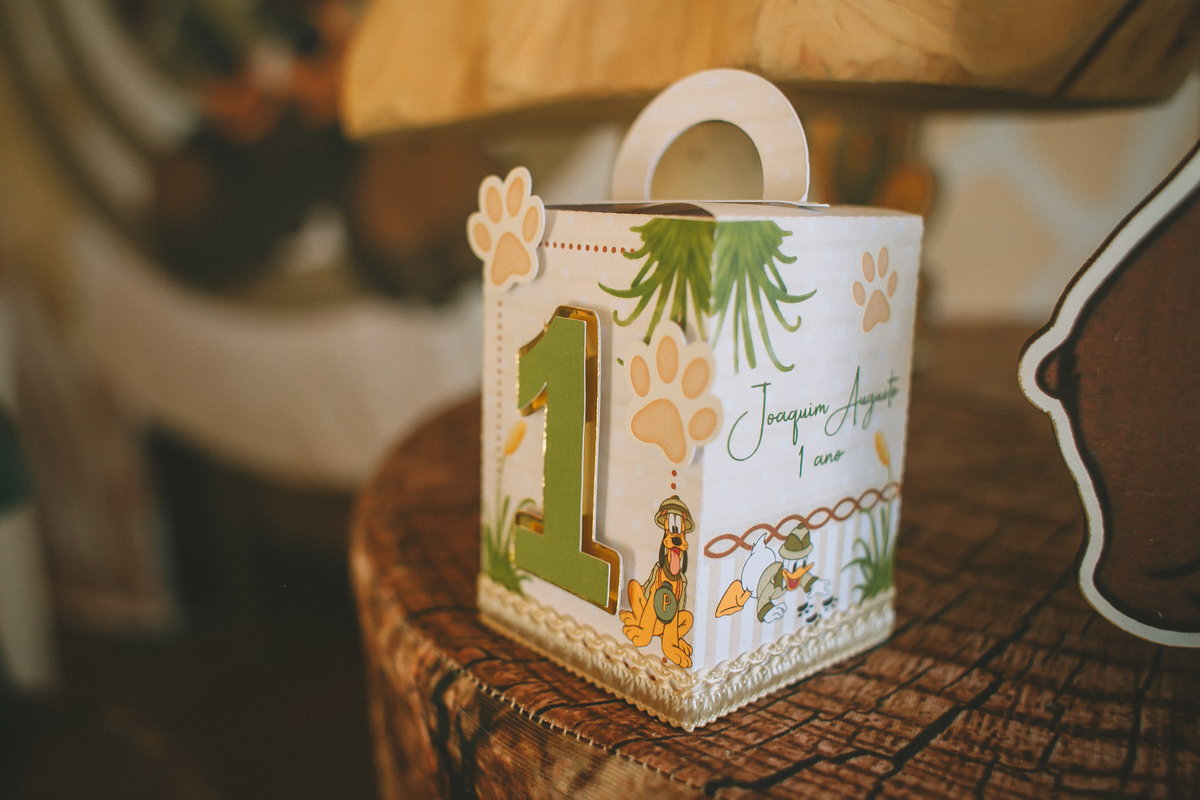 decoração Safari do Mickey