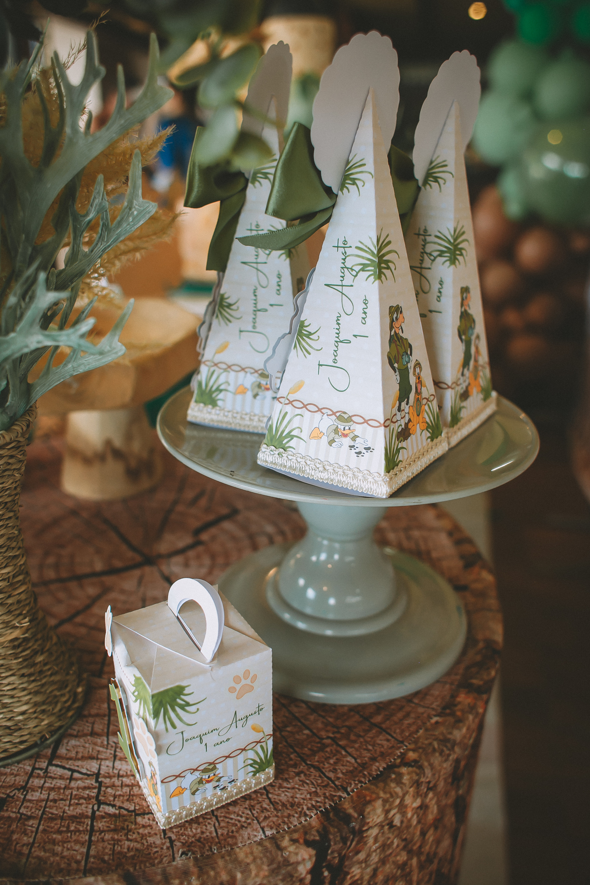 decoração Safari do Mickey