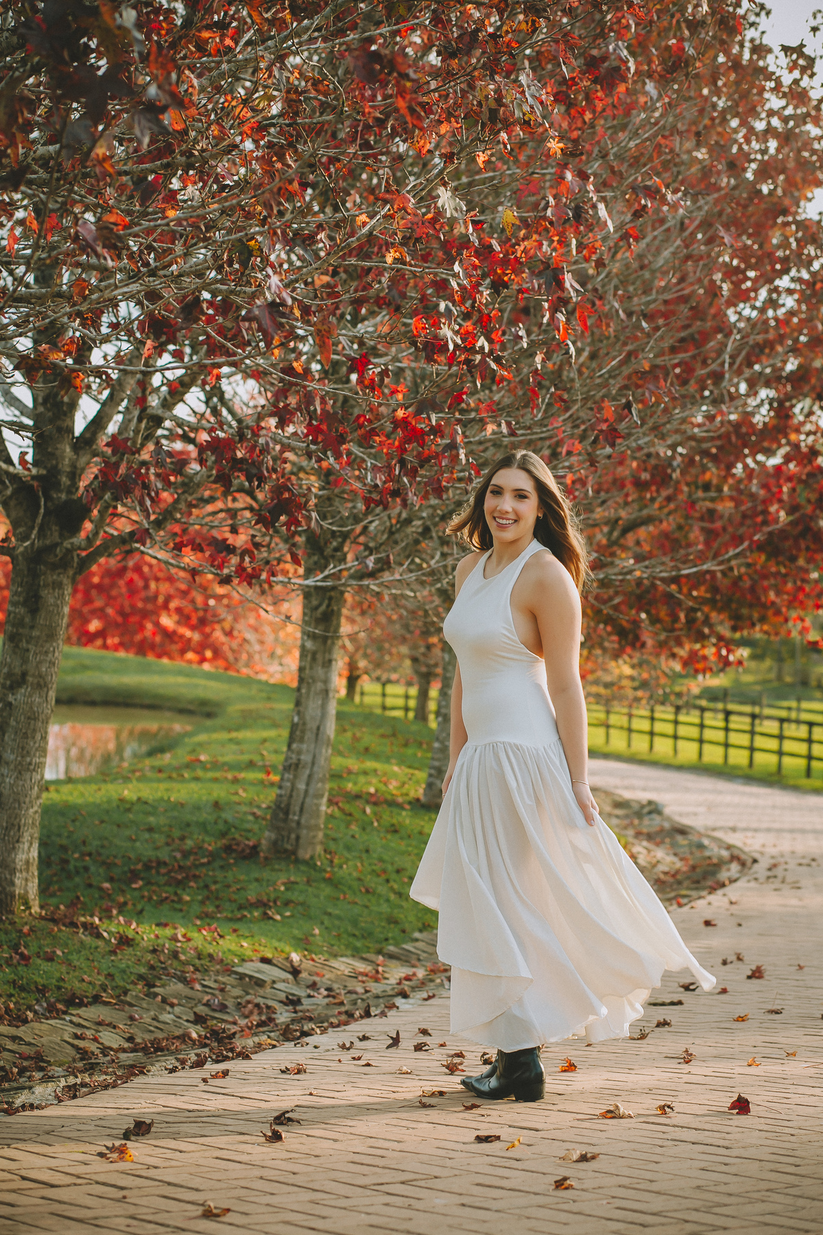 aniversário pré 15 anos