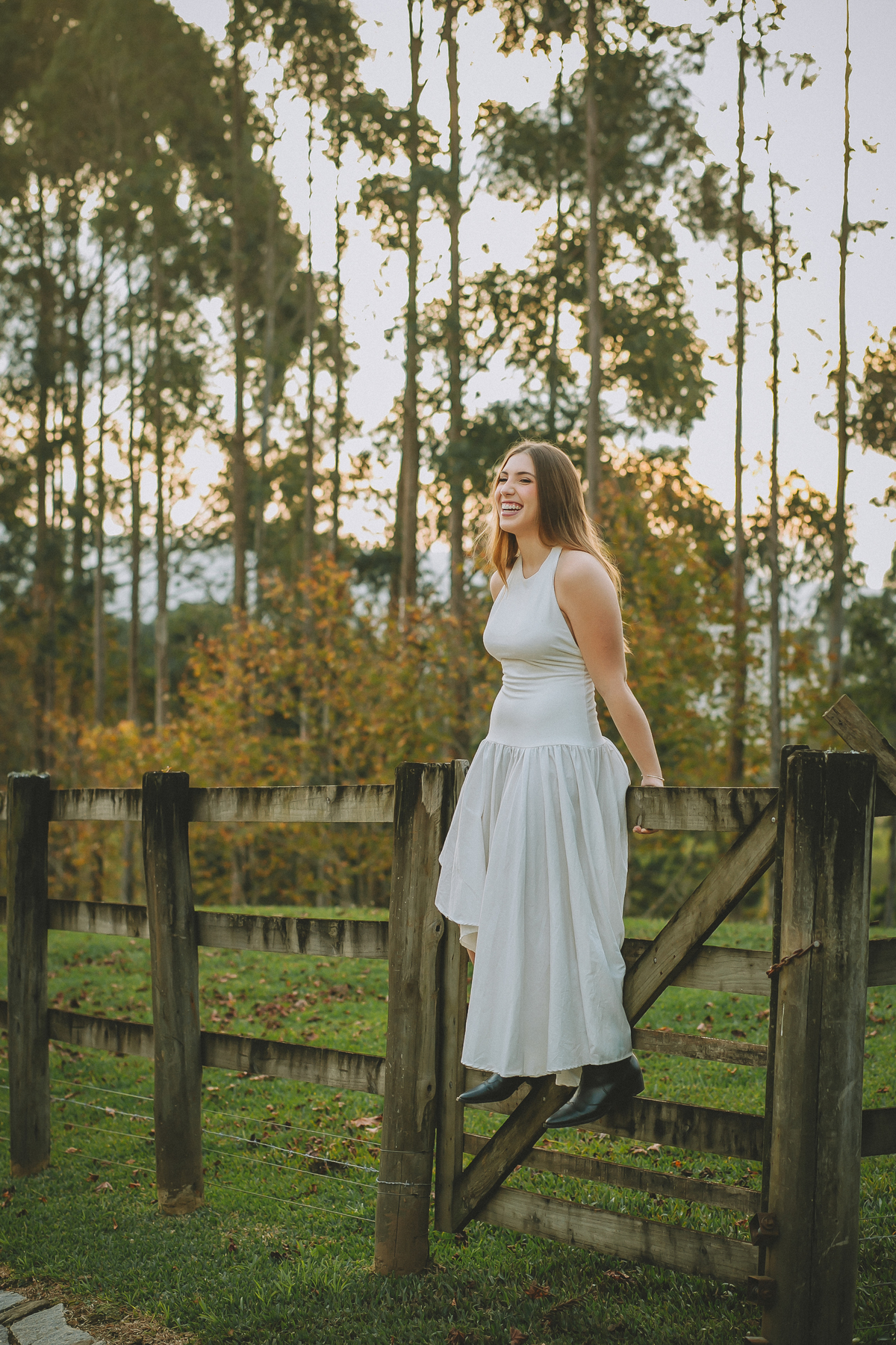 aniversário pré 15 anos