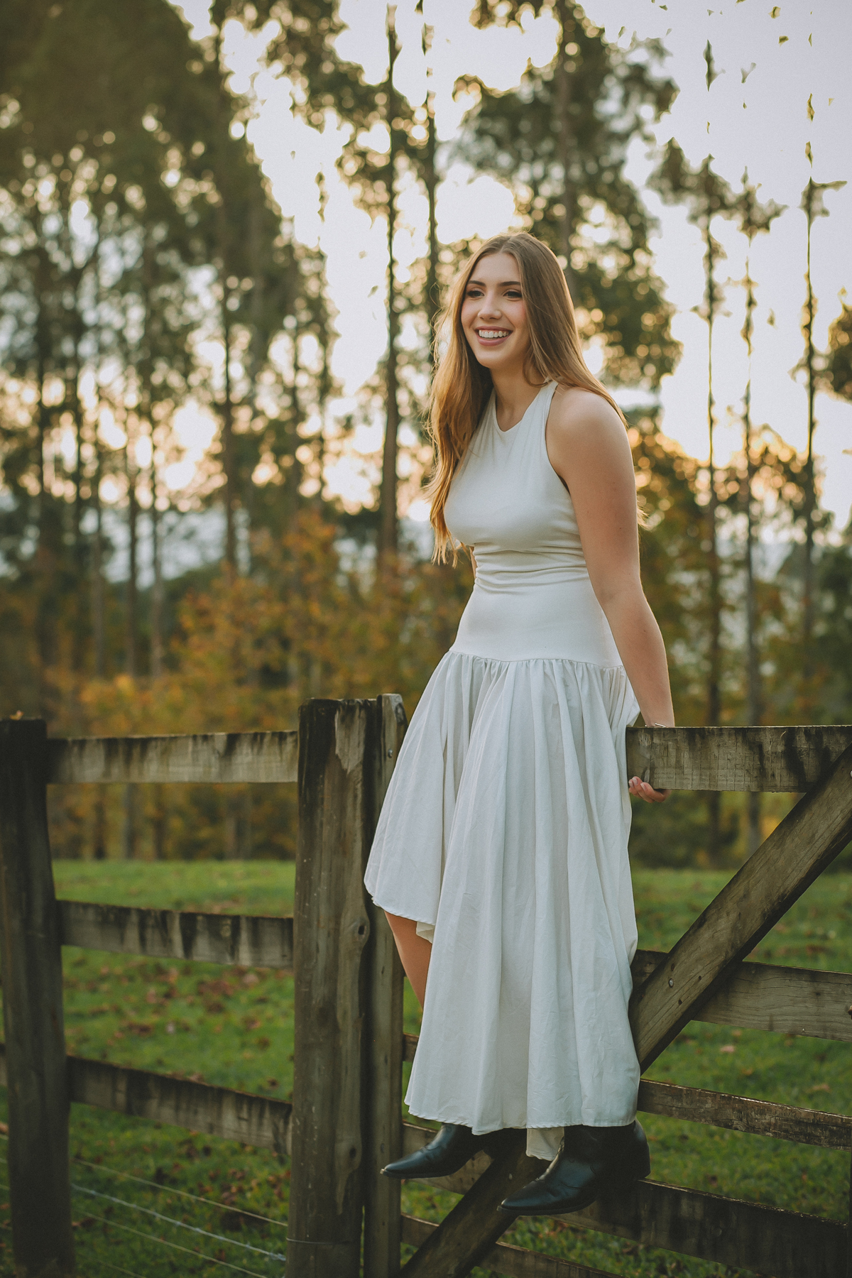 aniversário pré 15 anos