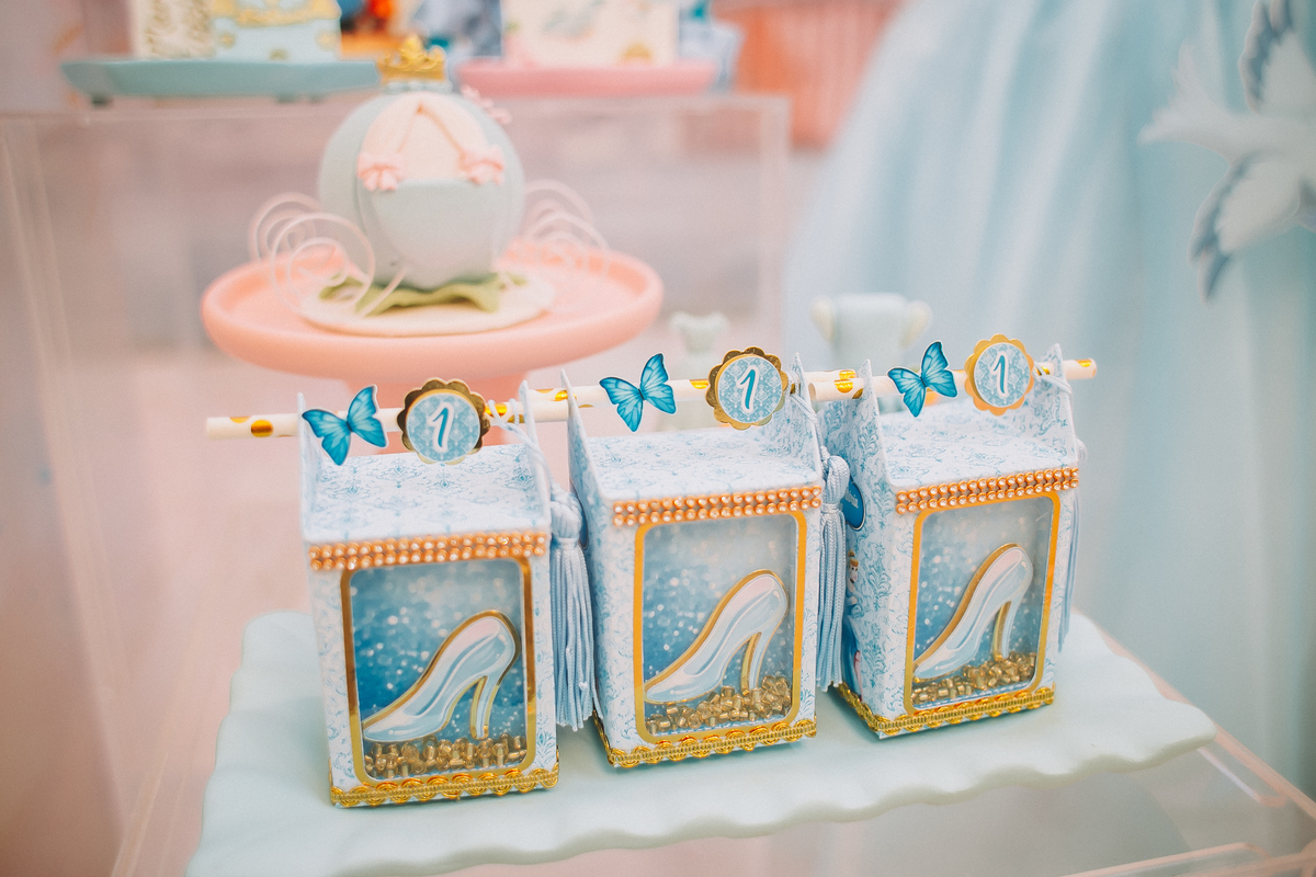 Fotógrafa de aniversário infantil em Florianópolis