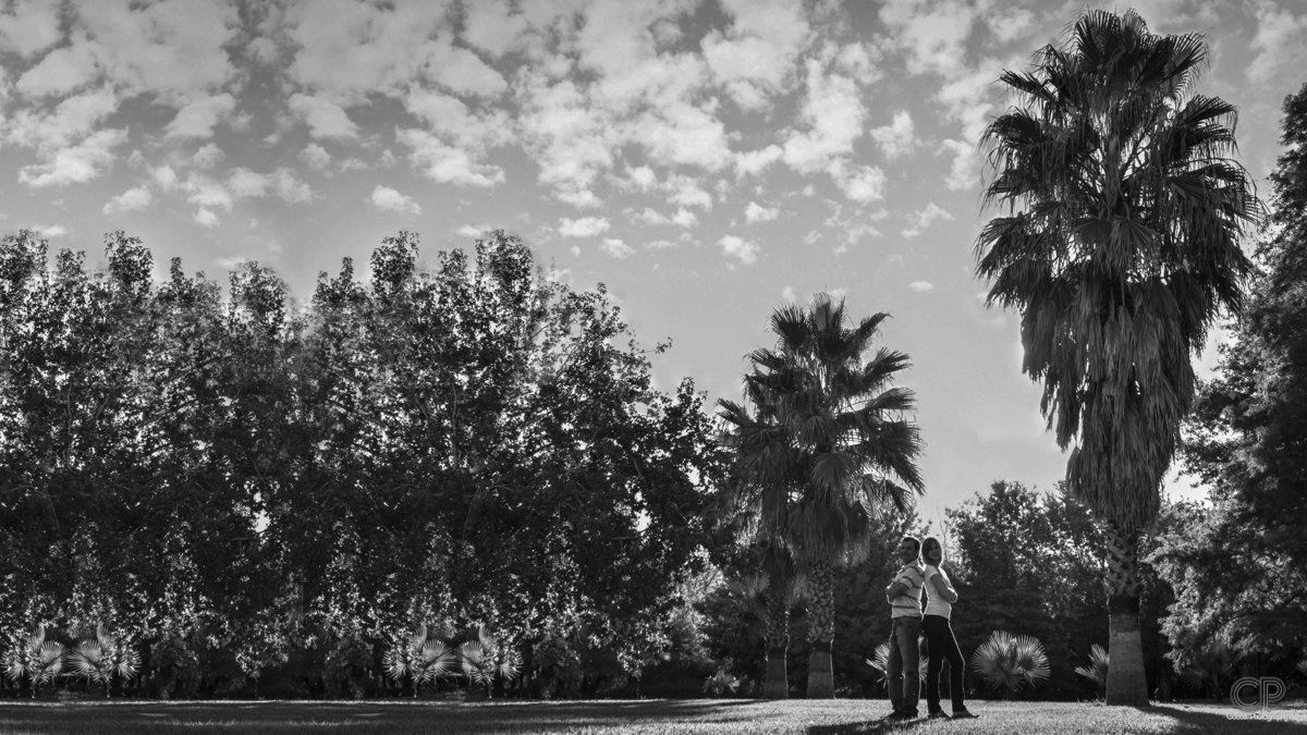 Ahh Una boda de día, ultra divertida, lleva de sorpresas, amigos, familia, risas, tristezas y re-encuentros; Una área parquizada de Salón 