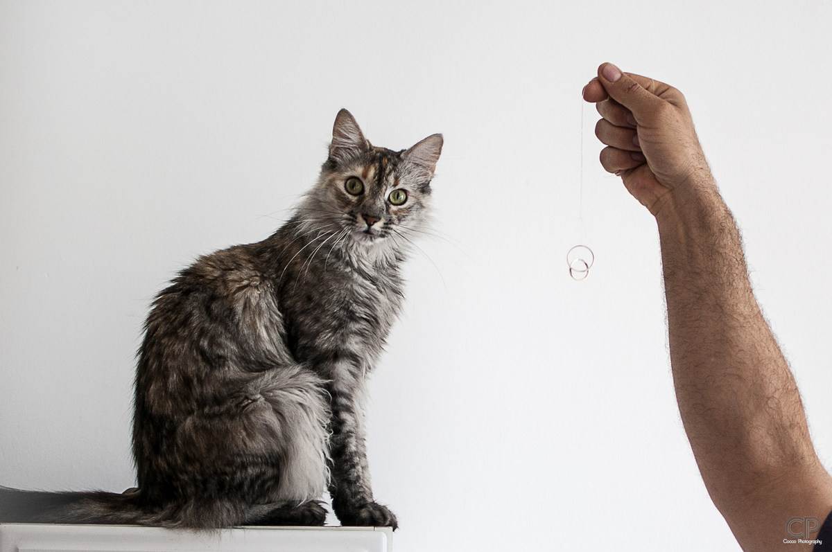 Angie & Gonza      
Amor, amistad, compañerismo y sobre todo mucha pasión.
Es solo un poco de lo que distingue a está hermosa pareja.
Civil: Distrito Centro, Rosario. Santa Fe. Argentina
Getting Ready: Hotel Amerian Puerto Rosario. Religiosa: Parroquia
