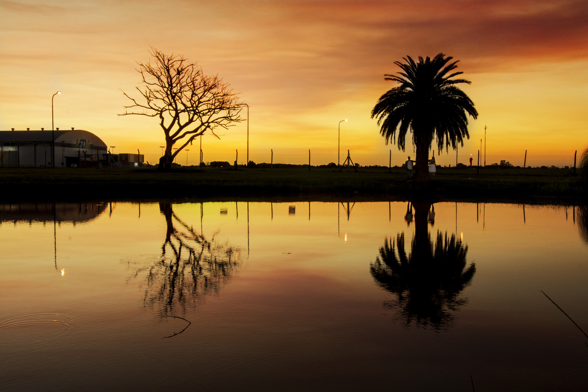 
E-Session, Bosas en rosario, preparativos de la boda, hotel, familia, ceremonia, sesión de fotos en rosario, sesiones naturales, book de novios, fiesta de bodas, vestido de novia, novias en rosario, fotografía de bodas, sesión previa, 
