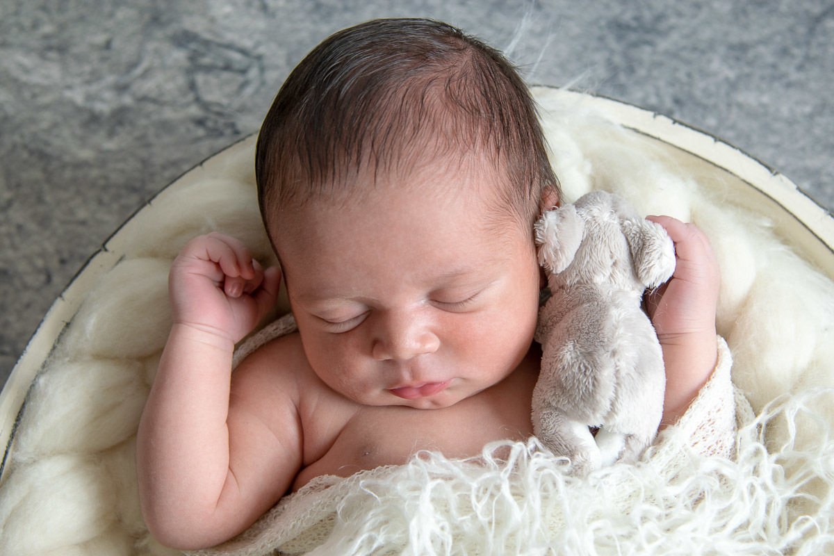 Abraçando meu koala