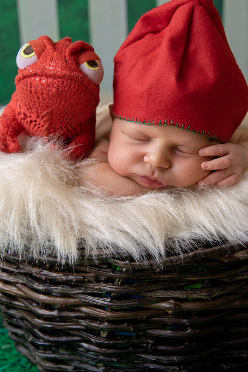 Ó vida, ó céus!! Olha eu aqui de camaleão!!