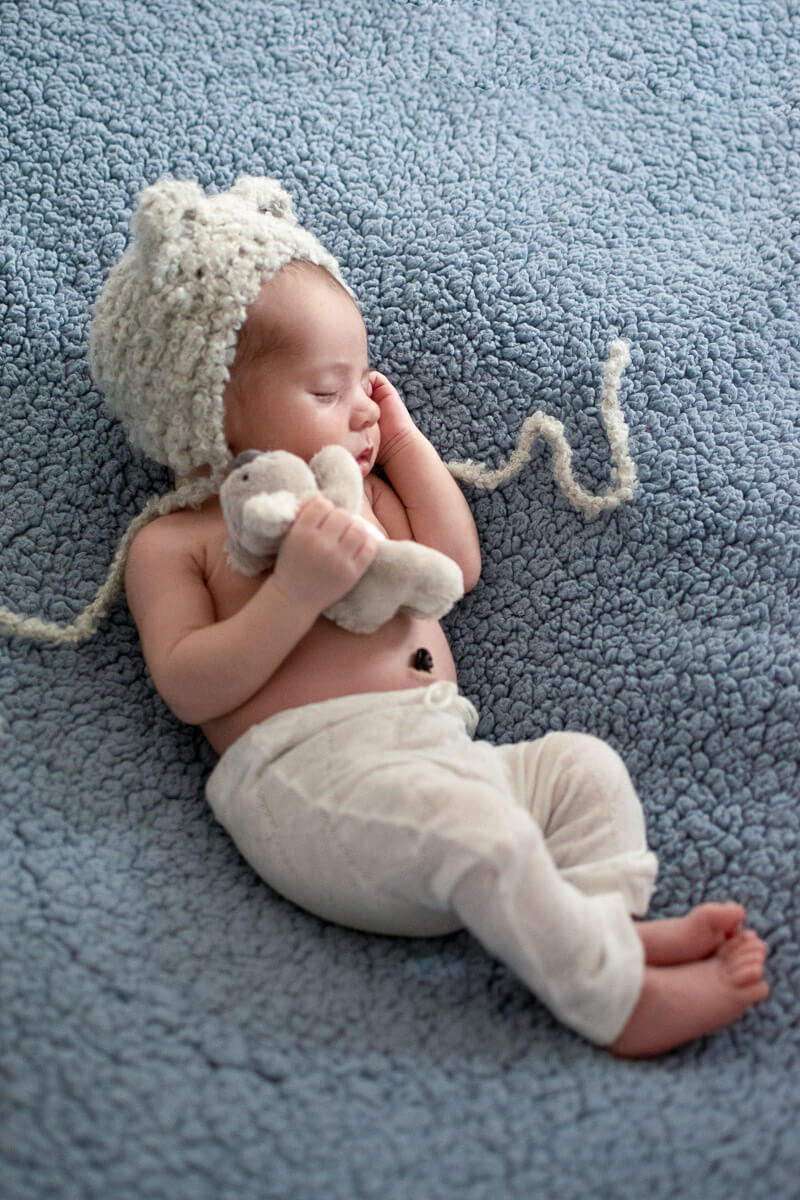 Muito amor pelo coala