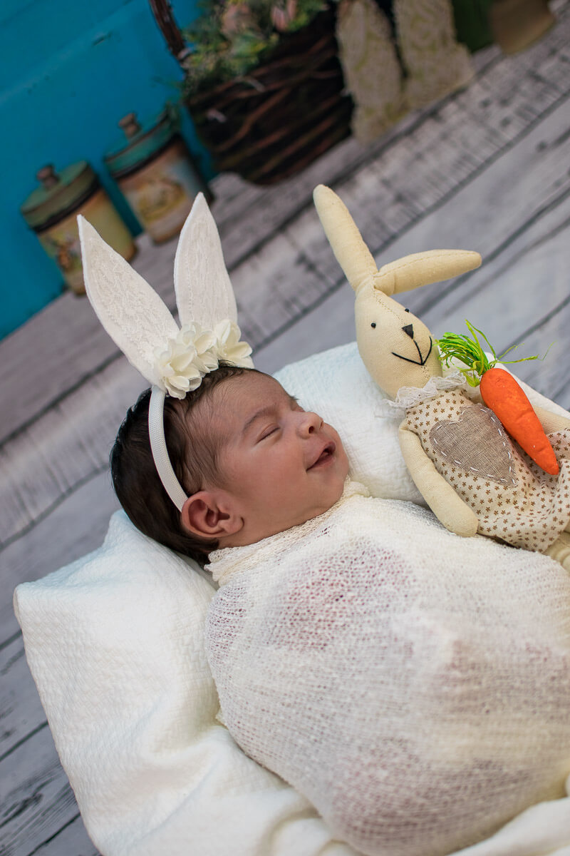 diversão entre coelhas