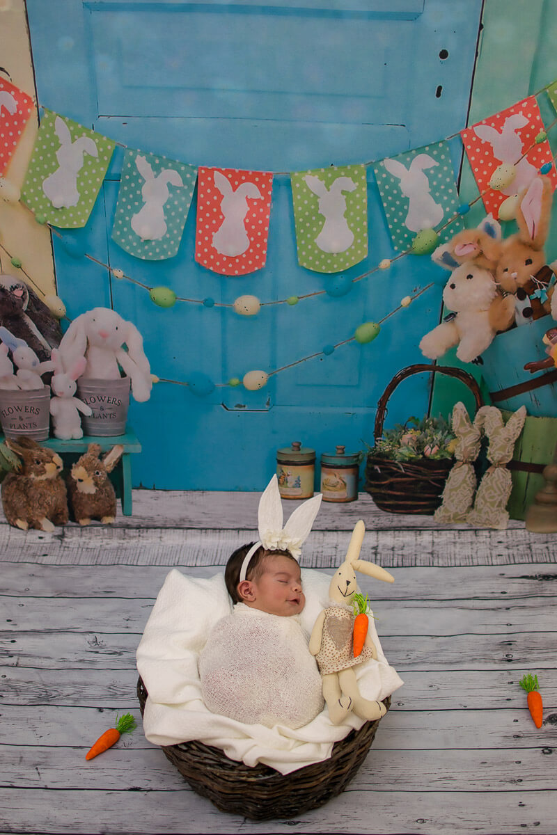 festival de coelhinhos na Páscoa