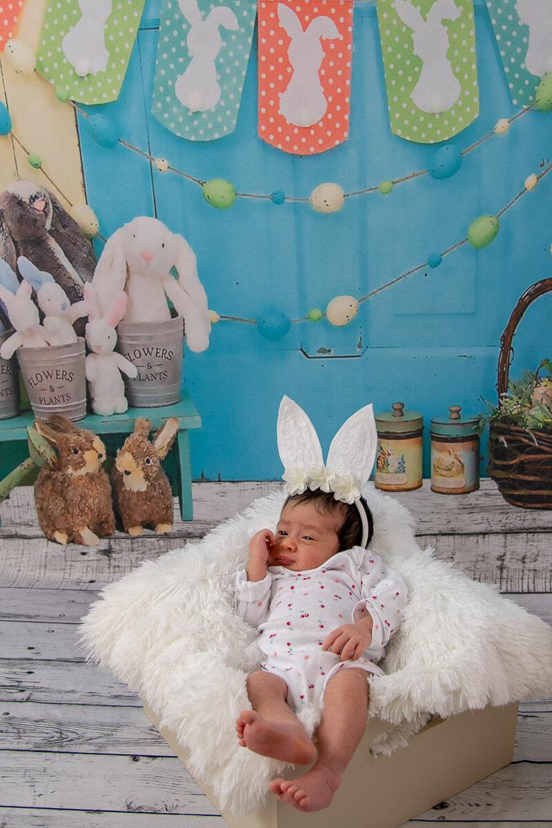 Coelhinha da páscoa que trazes pra mim