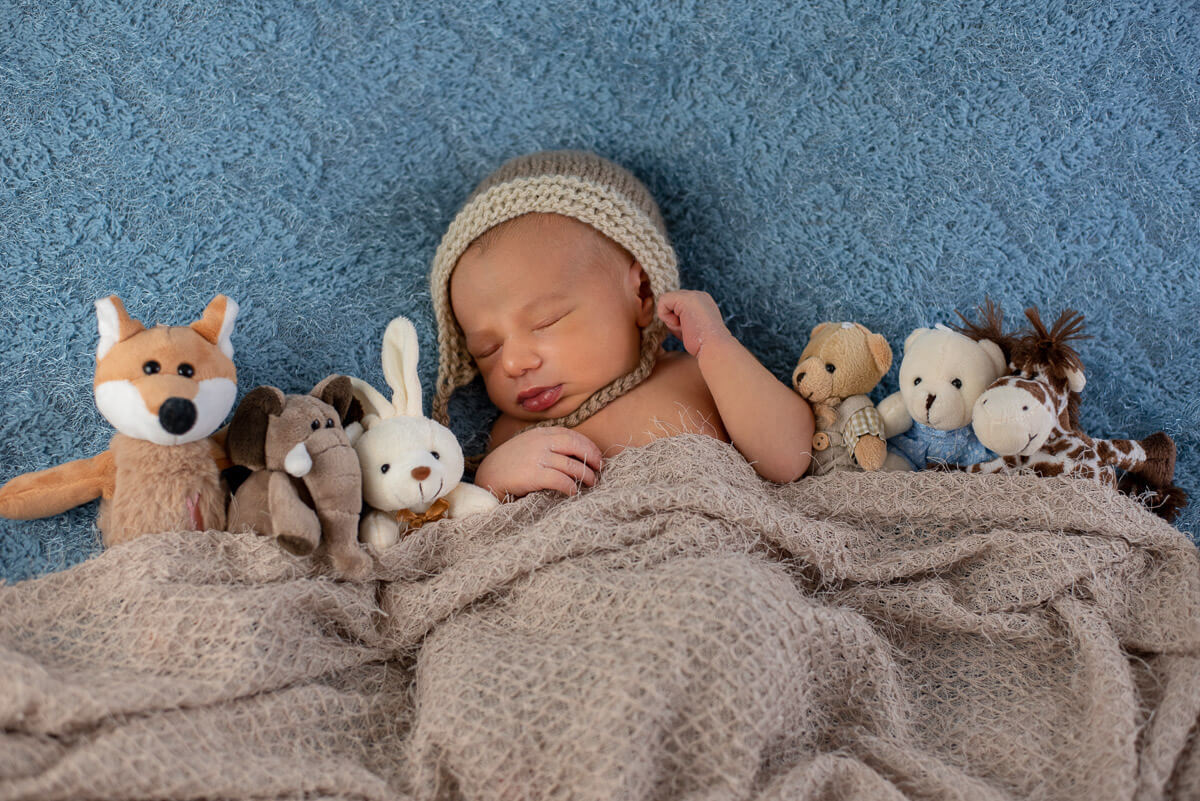 Com os meus bichinhos