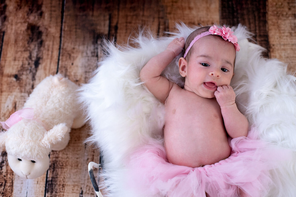 Assistindo TV com a ovelha