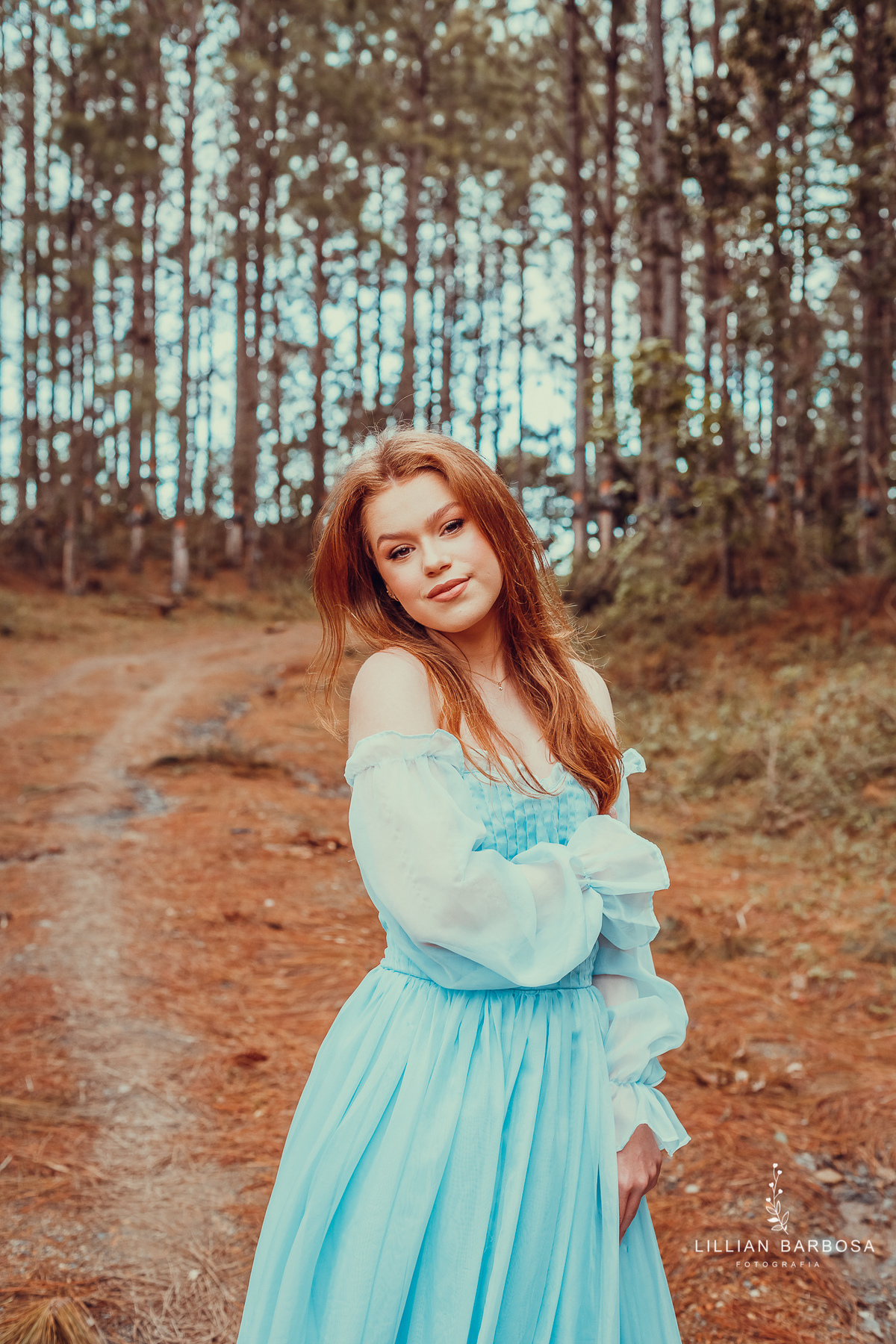 menina-vestido-vestidoazul-serradoriodorastro-floresta-fotógrafadesantacatarina-fotógrafosdesantacatarina-fotógrafadelauromuller-fotógrafosdelauromuller-ensaiode15-ensaiode15anos-ensaiodequinze